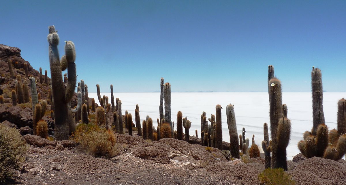 Province Chilienne Entre Les Andes Et Le Pacifique 9 Lettres